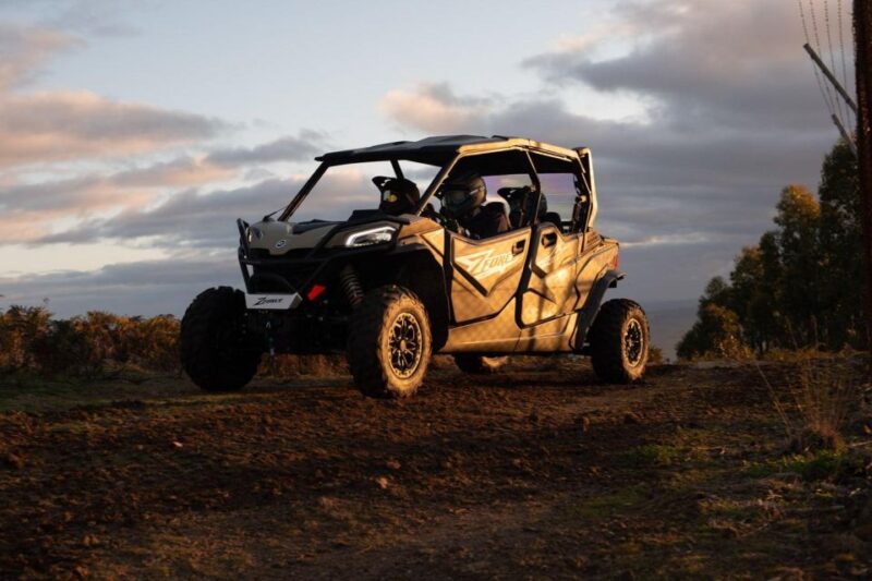 Berber Breakfast and Quad in the Palmeraies of Marrakech - Quad Biking Through Sandy Trails