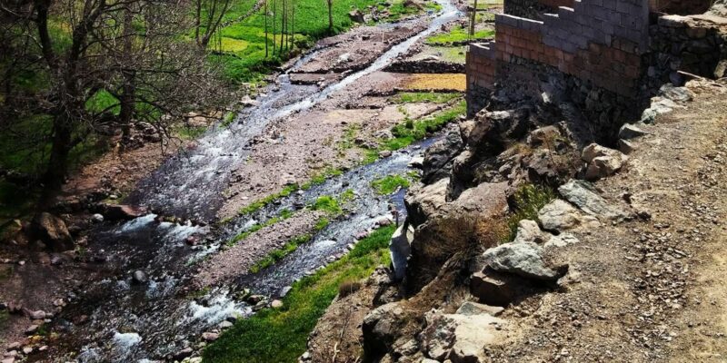 Berber Villages in the Atlas Mountains Day Trip - Inclusions and Transportation
