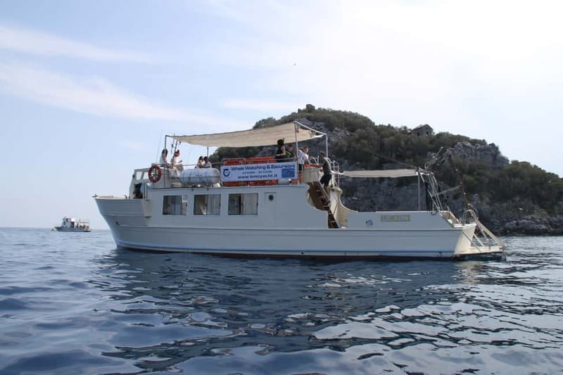Bergeggi Island: Boat trip with a swimming stop - What’s Included and What to Bring  