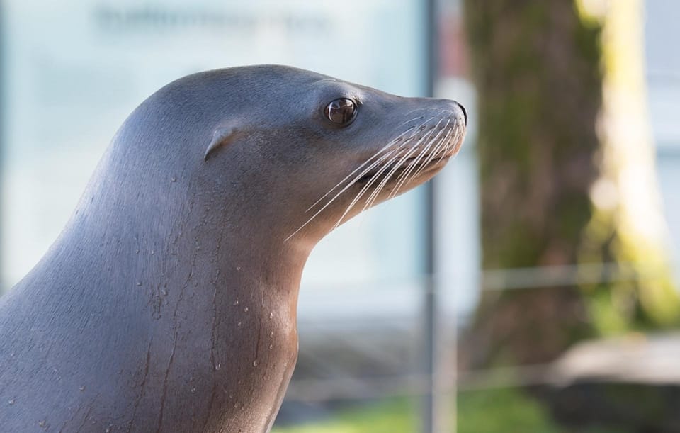 Bergen: Bergen Aquarium Entry Ticket - Key Points