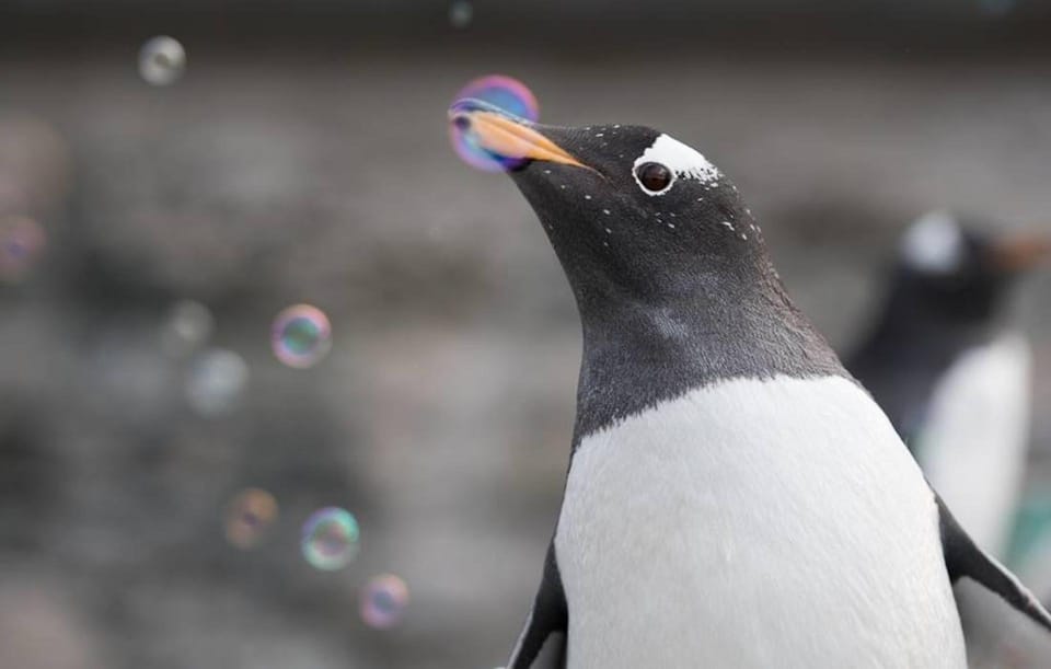 Bergen: Bergen Aquarium Entry Ticket - Value and Overall Impression