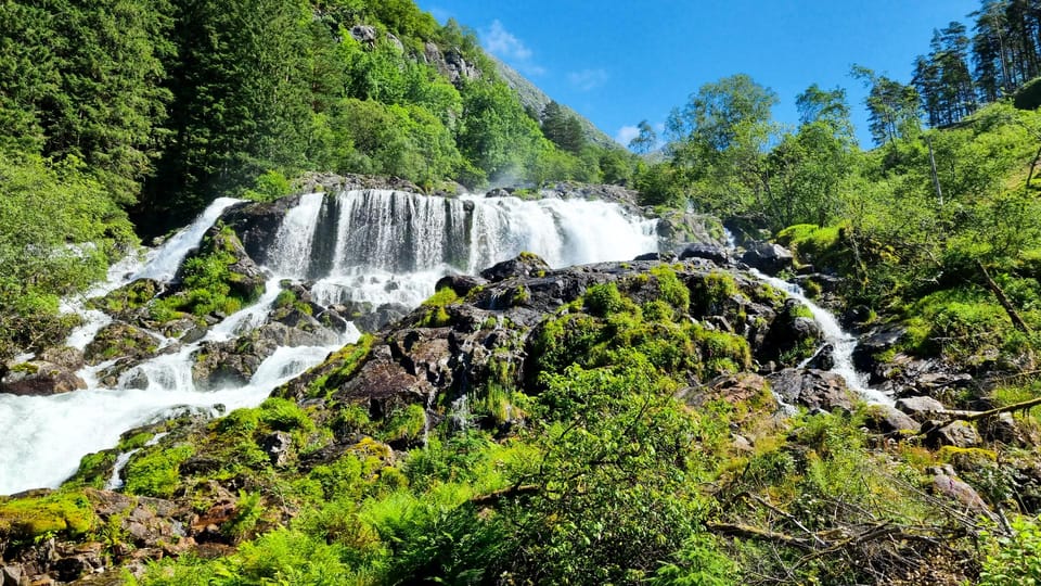 Bergen: Cruise to beautiful Rosendal by the Hardangerfjord - Practical Details