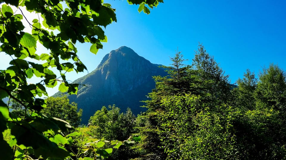 Bergen: Cruise to beautiful Rosendal by the Hardangerfjord - Who Should Consider This Tour?