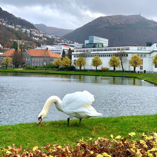Bergen Discovery by Car - Good To Know