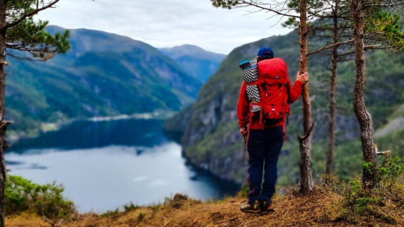 Bergen: Fjord cruise to Mostraumen and guided mountain hike - Key Points: