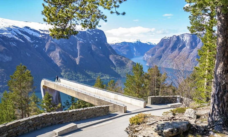 Bergen: Flam Railway, Stegastein and Fjord Cruise Day Tour - The Experience in Detail