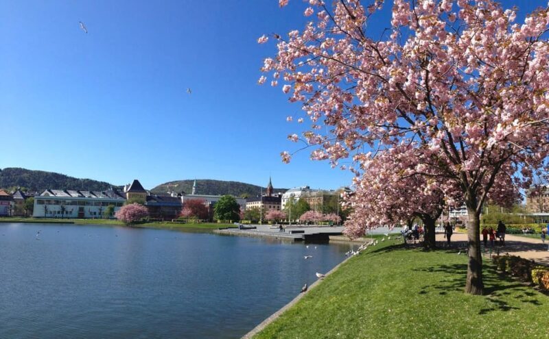 Bergen: Flam Railway, Stegastein and Fjord Cruise Day Tour - Practical Tips to Make the Most of This Tour