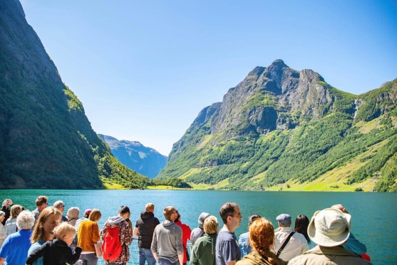 Bergen: Flam Railway, Stegastein and Fjord Cruise Day Tour - Who Is This Tour Best For?