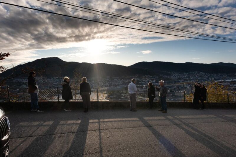Bergen: Guided Minibus Tour With Photo Stops & Bryggen Tour - Booking and Meeting Information