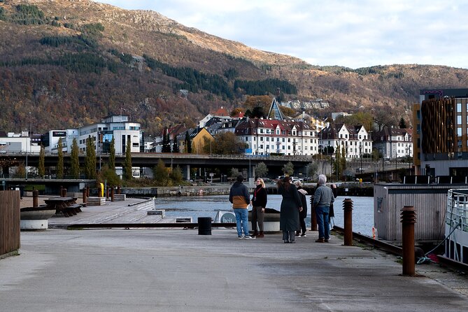 Bergen: Guided Tour by Minibus With Local Guide & Photostops - Exploring Historical Sites