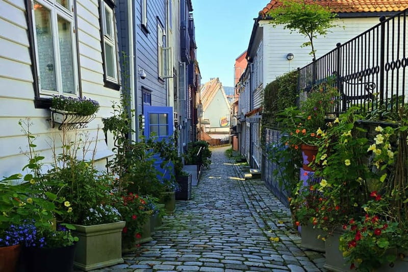 Bergen Like a Local: Culture, Views, and the Stave Church - Authentic Experiences and Genuine Insights