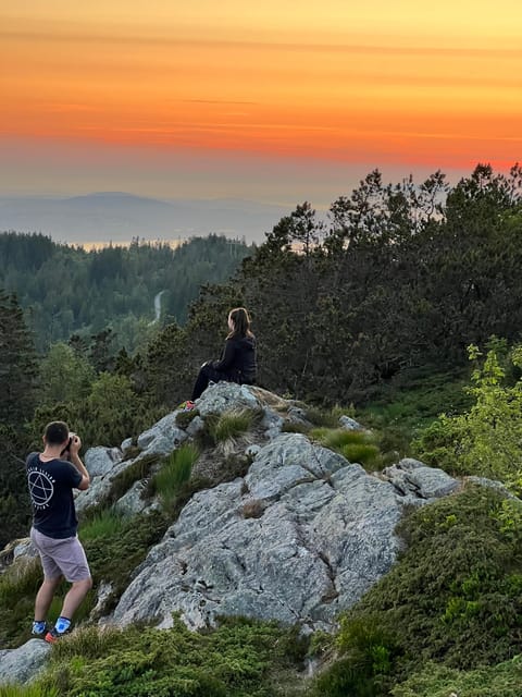 Bergen Magical Nature Tour | ViFlowExperience - Introduction: A Charming Blend of Nature and Culture