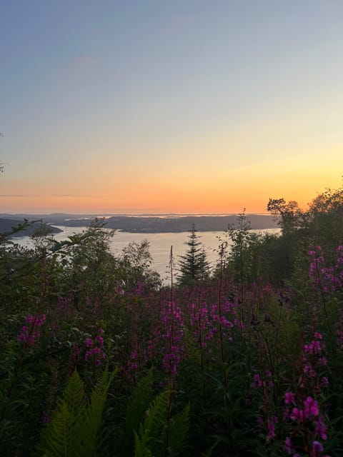 Bergen Magical Nature Tour | ViFlowExperience - The Value of This Experience
