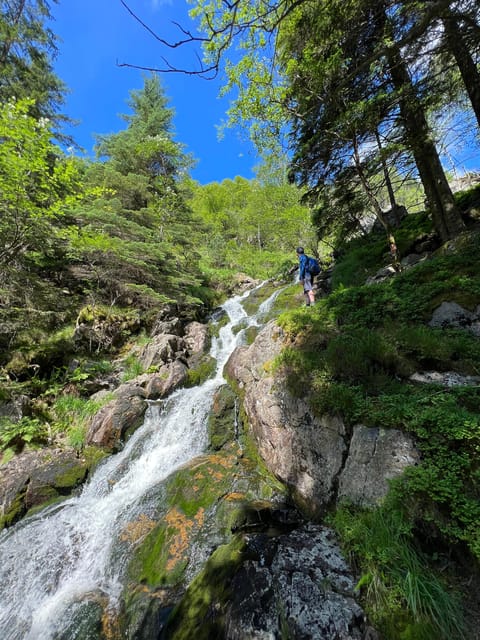 Bergen Magical Nature Tour | ViFlowExperience - Who This Tour Suits Best
