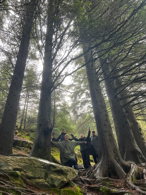 Bergen Magical Nature Tour | ViFlowExperience - FAQ