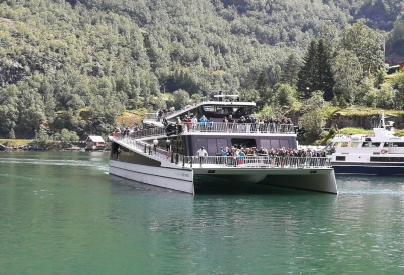 Bergen: Nærøyfjord Cruise and Flåm Railway to Oslo - Customer Reviews