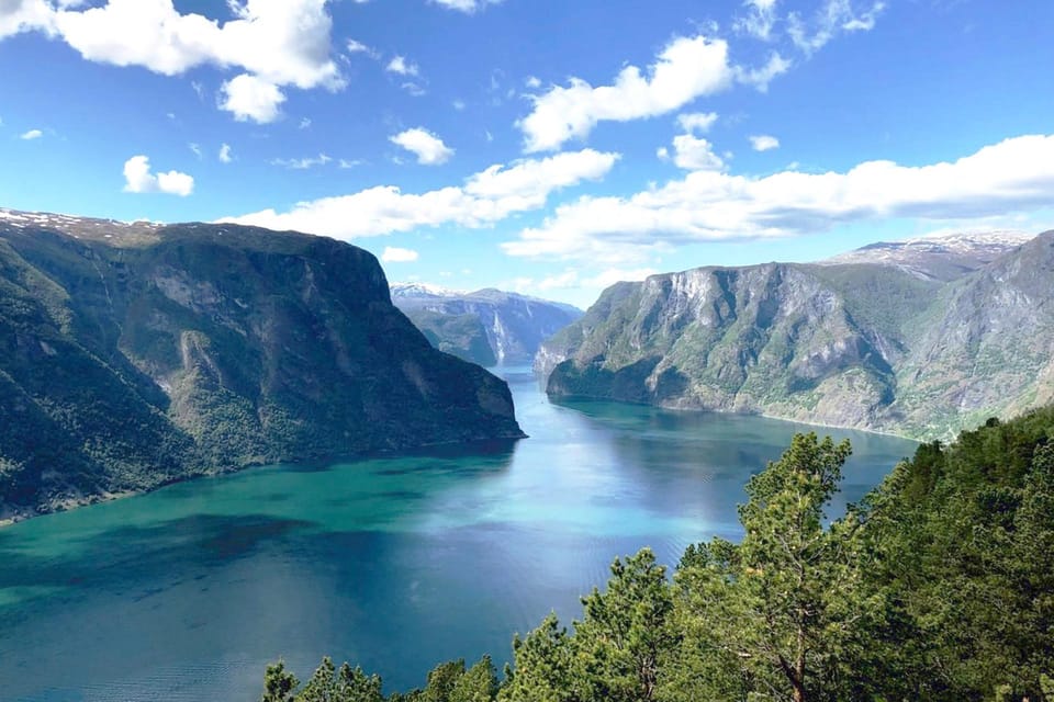 Bergen: Nærøyfjord Cruise & Flåm Railway Day Trip to Oslo - Key Points