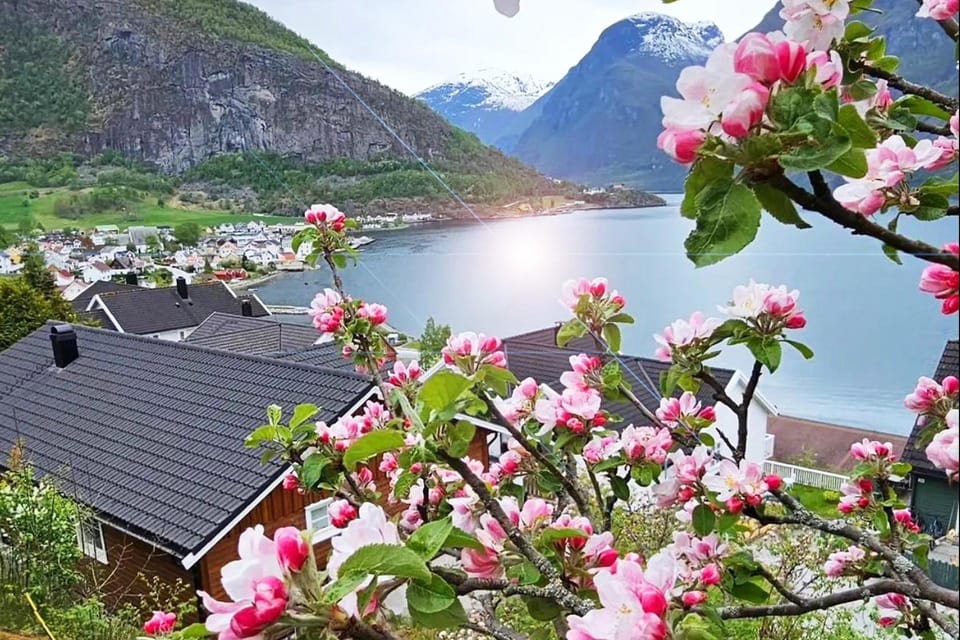 Bergen: Nærøyfjord Cruise & Flåm Railway Day Trip to Oslo - FAQ