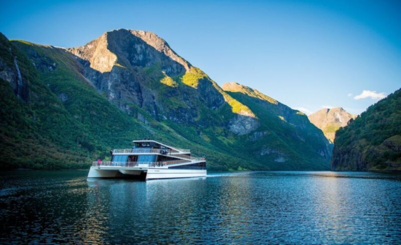 Bergen: Private Day Tour, Nærøyfjord Cruise and Flåm Railway - The Sum Up: Who Will Love This Tour?