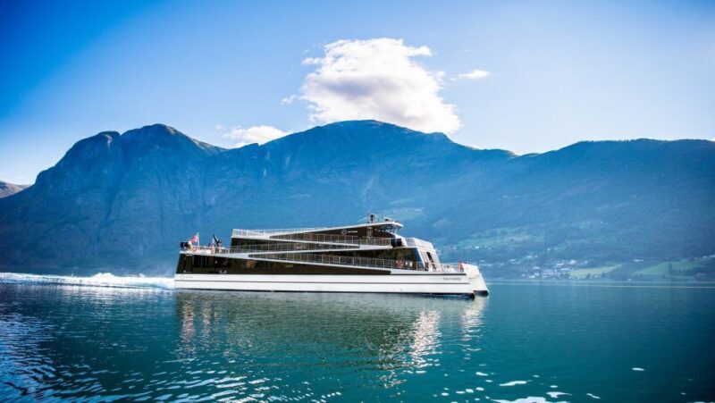 Bergen: Private Day Tour, Nærøyfjord Cruise and Flåm Railway - FAQ