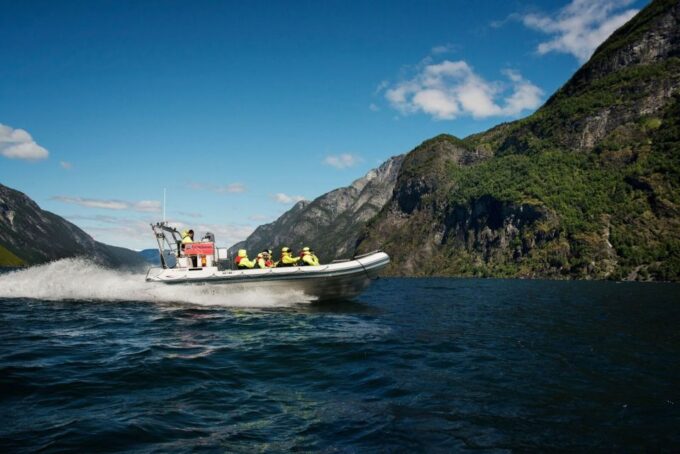 Bergen: RIB Sognefjord Safari and Flåm Railway Private Tour - Booking Information