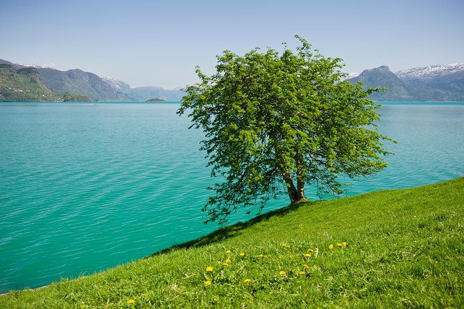 Bergen: Self-Guided Roundtrip (Sognefjord Cruise 5h & Flamsbana) - Flam Railway Experience