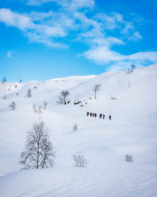 Bergen: Snowshoe Hike - Public Tour - Key Points