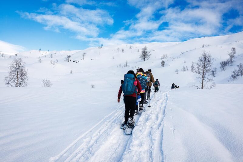 Bergen: Snowshoe Hike - Public Tour - The Value of This Winter Adventure