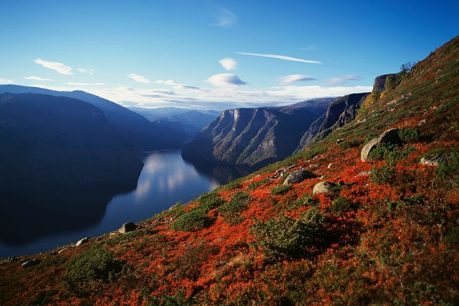 Bergen to Sognefjord Private Roudtrip With Cruise and Flasmbana - Pricing and Value