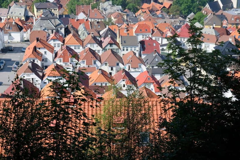 Bergen: Urban Mountain Hiking and History Tour - Practical Details: What to Know Before You Go