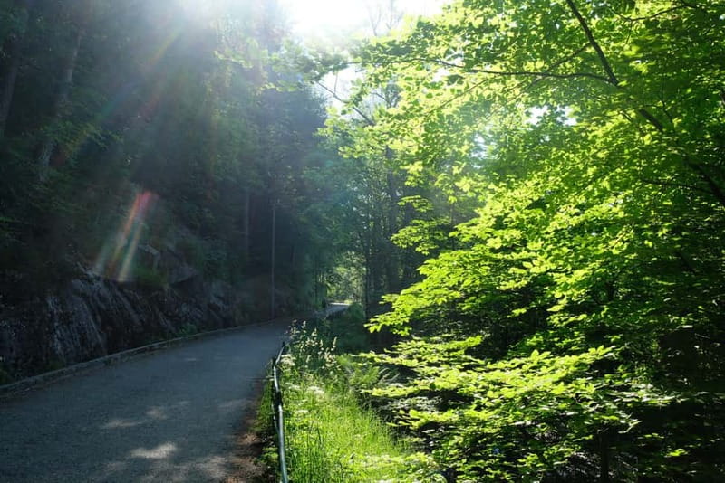Bergen: Urban Mountain Hiking and History Tour - Frequently Asked Questions
