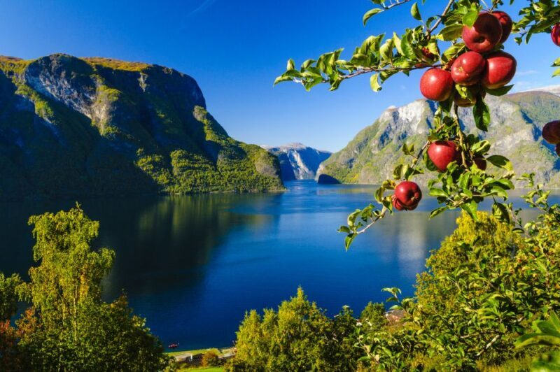 Bergen: Viking Village, Nærøyfjord Cruise & Flåm Railway - Exploring the Itinerary in Detail