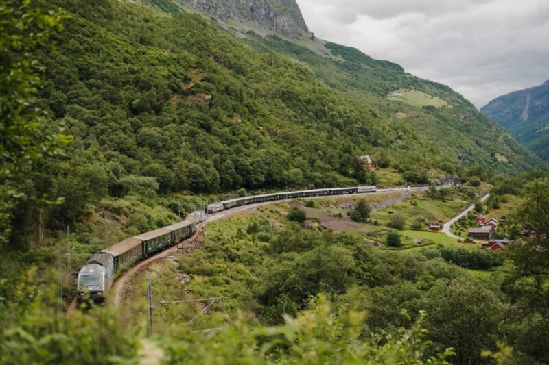 Bergen: Viking Village, Nærøyfjorden Cruise and Flåm Railway - A Deep Dive into the Experience