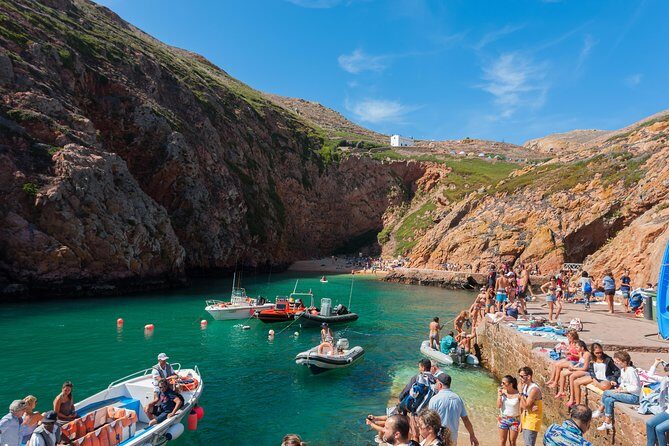 Berlenga Island Full Day Tour from Lisbon - A detailed look at the tour experience