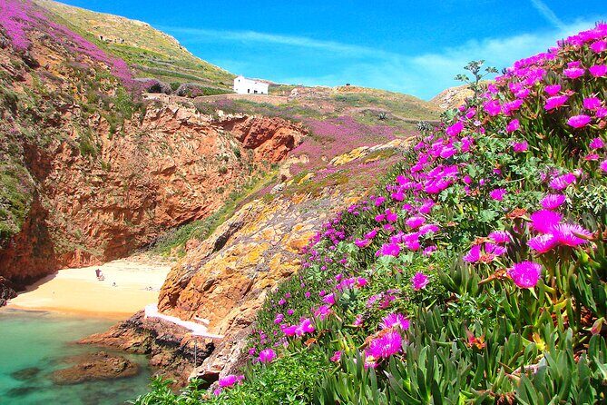 Berlengas Island Catamaran Tour + Snorkeling - FAQ