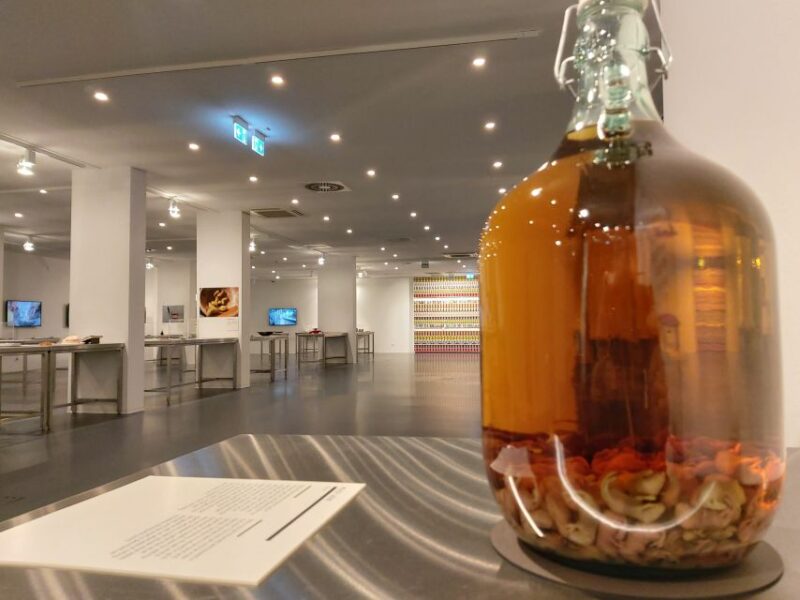 Berlin: Disgusting Food Museum Entry Ticket and Tasting - Museum Exhibits Overview