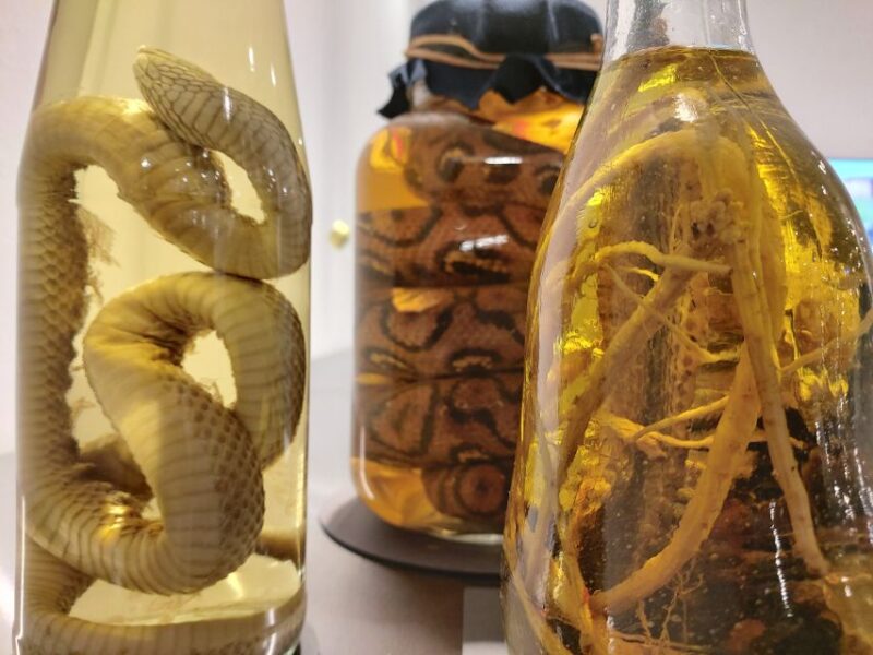 Berlin: Disgusting Food Museum Entry Ticket and Tasting - Educational Insights Offered