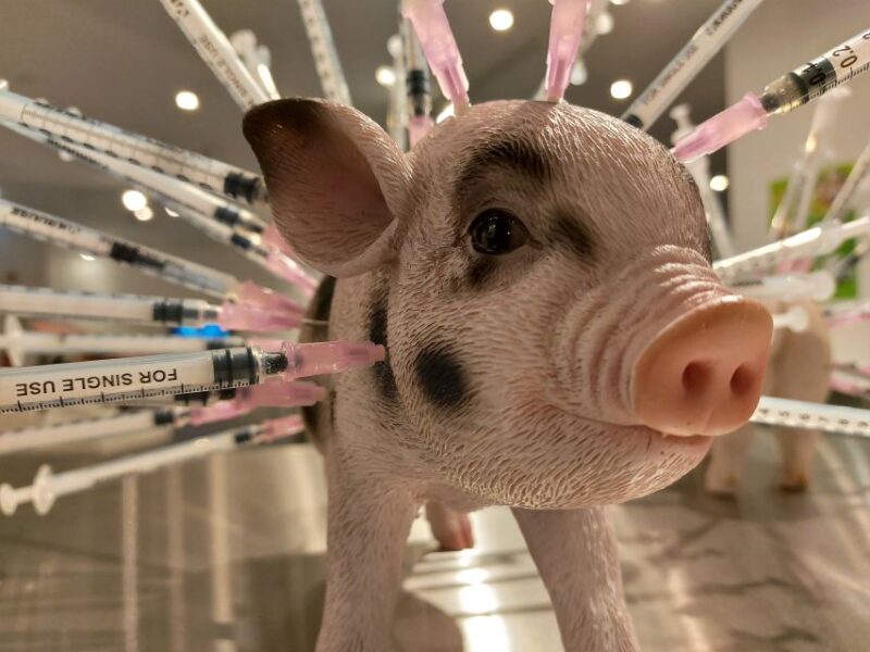 Berlin: Disgusting Food Museum Entry Ticket and Tasting - Tips for Your Visit