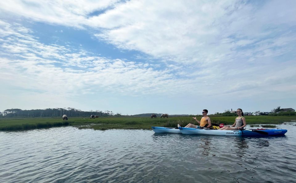 Berlin, MD: Full-, Half, or Quarter-Day Kayak Rental - What to Bring