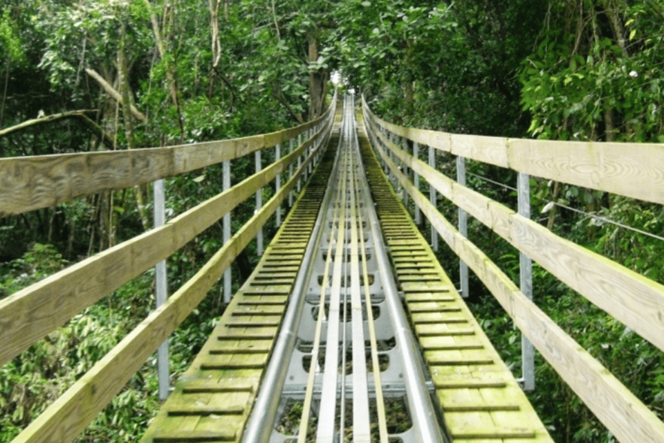 Berlin: Nature Bobsled Run Ticket - What We Love About This Experience
