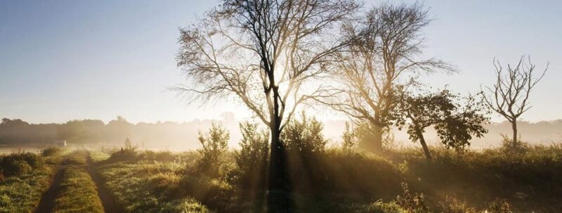 Berlin: Photo course Landschafts- & Naturfotografie - Key Points
