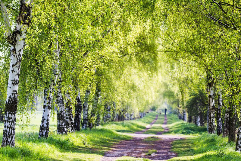 Berlin: Photo course Landschafts- & Naturfotografie - Who Will Benefit Most?