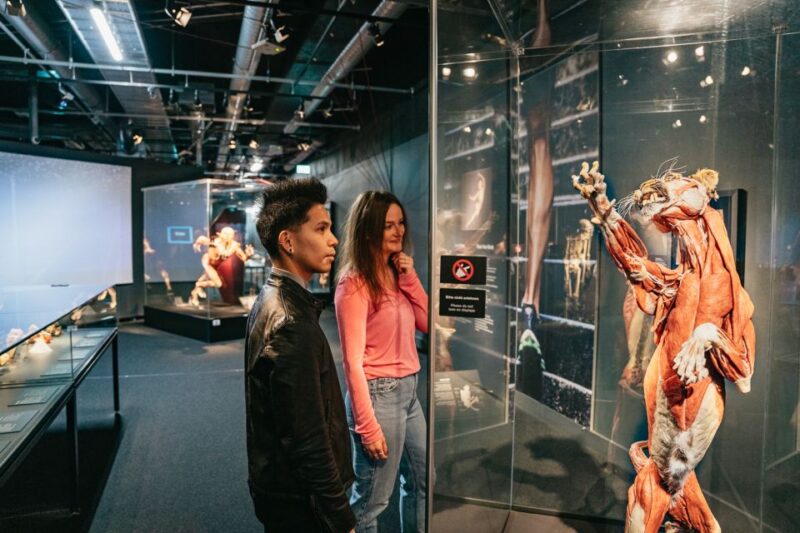 Berlin: Tickets for the BODY WORLDS Museum in Berlin - Visitor Accessibility