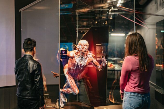 Berlin: Tickets for the BODY WORLDS Museum in Berlin - Unique Exhibition Features