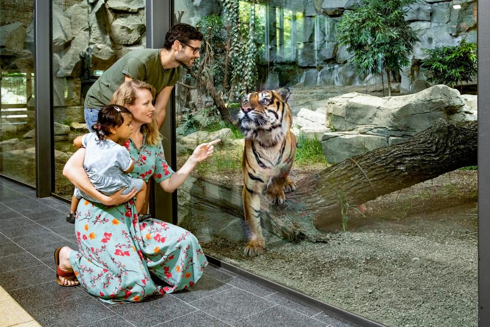Berlin: Tickets for the Tierpark in East Berlin - A Closer Look at the Experience
