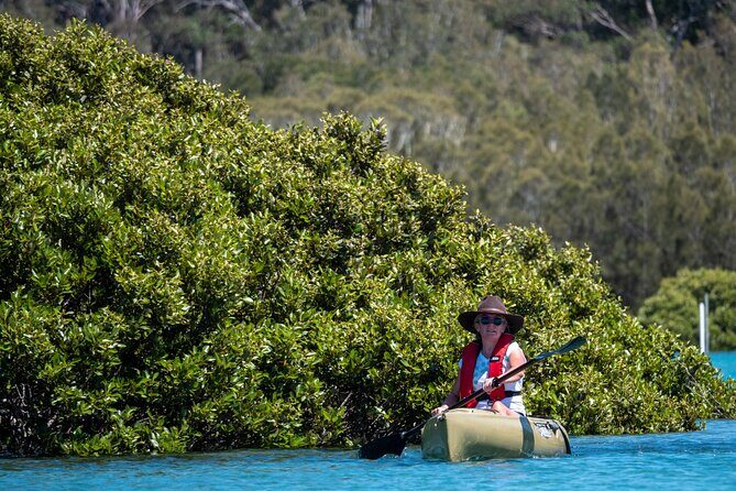 Bermagui River Kayak Tour - Wildlife and natural beauty
