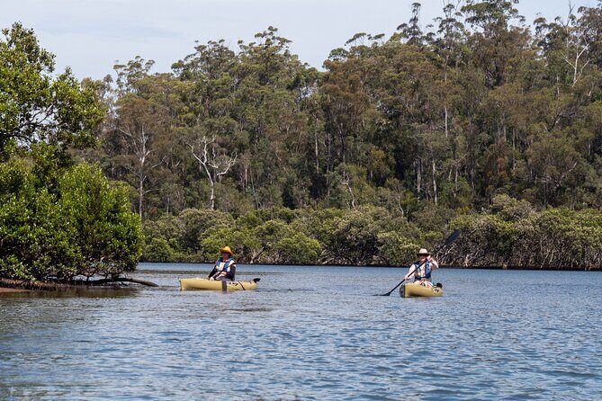 Bermagui River Kayak Tour - Price and value