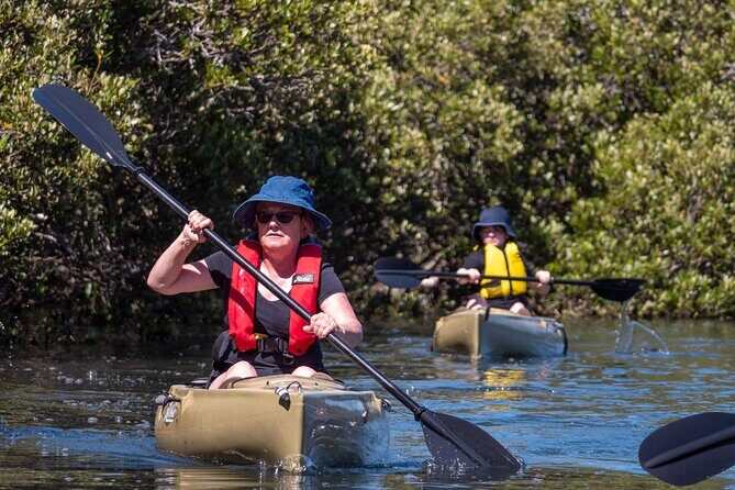 Bermagui River Kayak Tour - Weather considerations and cancellation policy