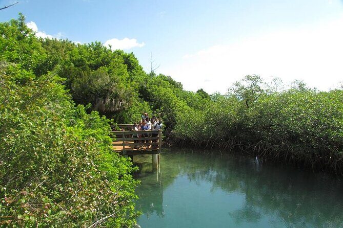 Bermuda Hidden Gems Half-Day Winter Excursion - The Jungle Adventure at Tom Moores Jungle