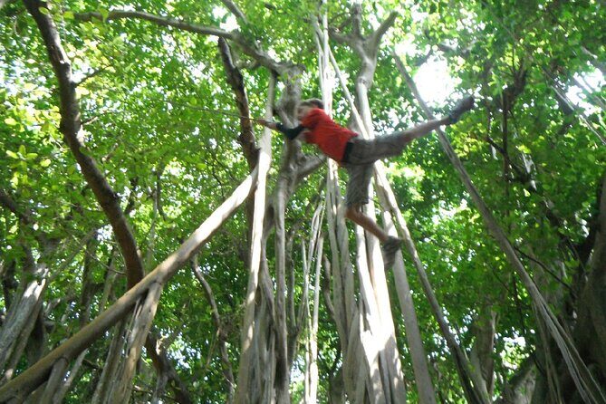 Bermuda Hidden Gems Half-Day Winter Excursion - Authenticity & Value